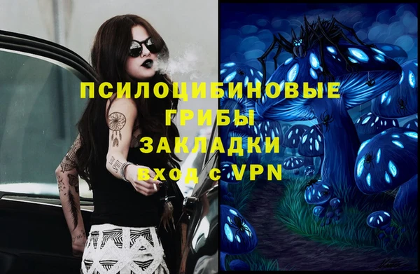 прущий лед Верея