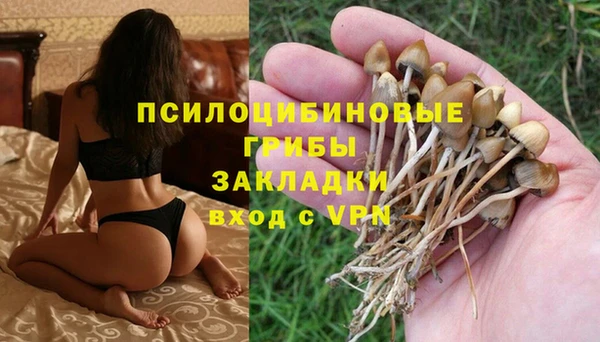 твердый Снежинск
