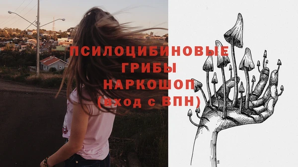 PSILOCYBIN Верхний Тагил