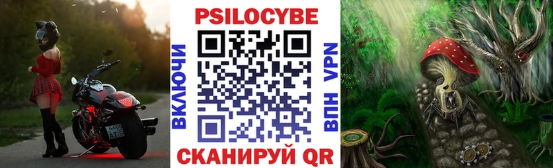 Галлюциногенные грибы Cubensis  omg tor  дарк нет наркотические препараты  Орехово-Зуево 