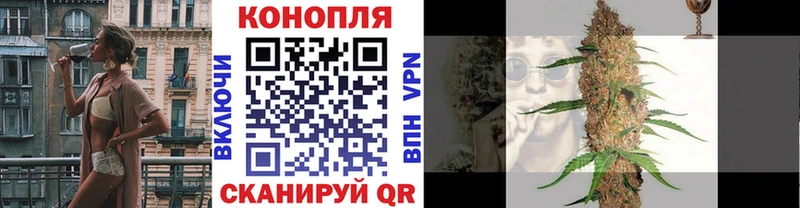 Бошки Шишки планчик Орехово-Зуево